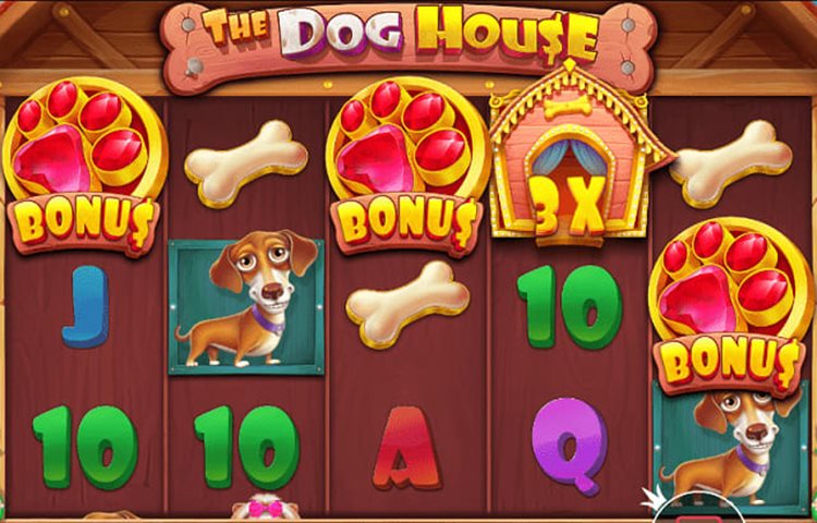 Bàn chơi The Dog House
