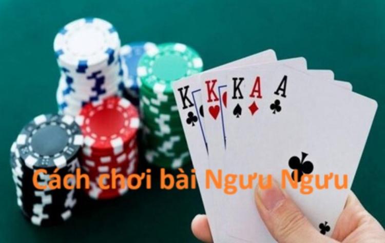 cách chơi bài Ngưu Ngưu