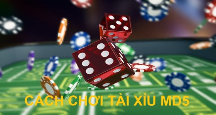 cách chơi Tài Xỉu MD5