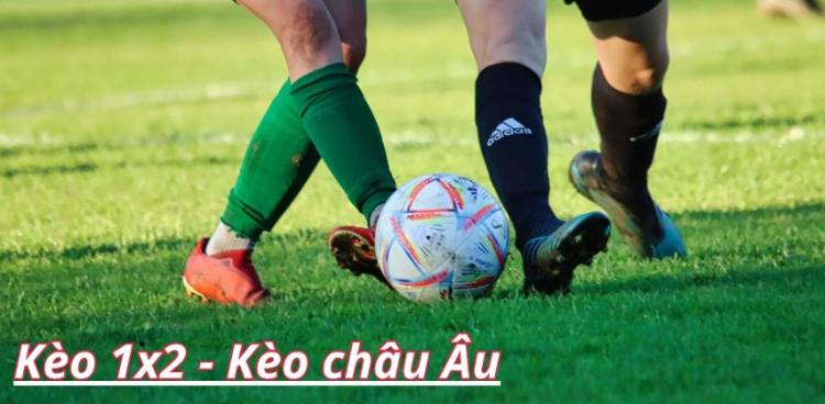 kèo châu Âu