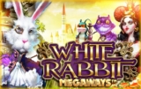 Khám phá cách chơi và kinh nghiệm chiến thắng White Rabbit slot 12bet